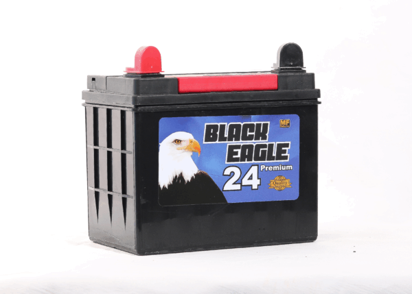 U1 de 300 cca, BLACK EAGLE - Imagen 2