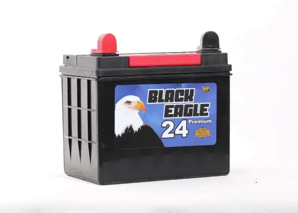 U1 de 300 cca, BLACK EAGLE - Imagen 2