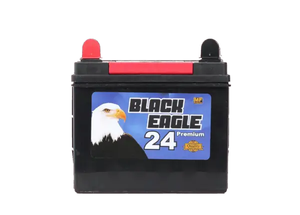 U1 de 300 cca, BLACK EAGLE