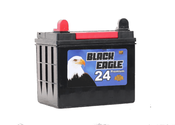 U1 de 300 cca, BLACK EAGLE - Imagen 3