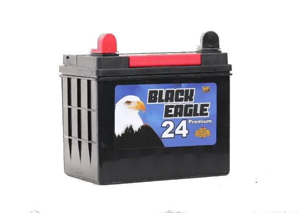 U1 de 300 cca, BLACK EAGLE - Imagen 3