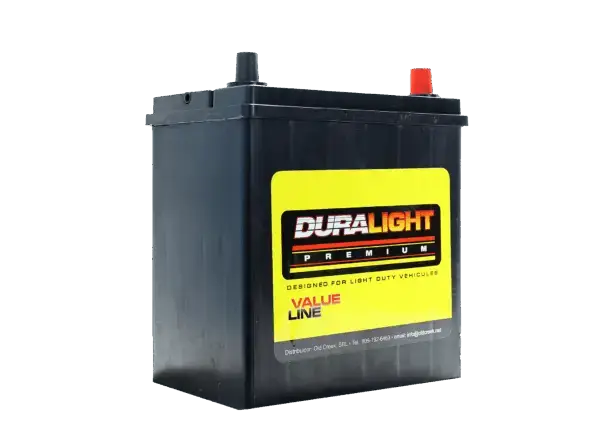 NS-40R de 300 cca, DURALIGHT - Imagen 2