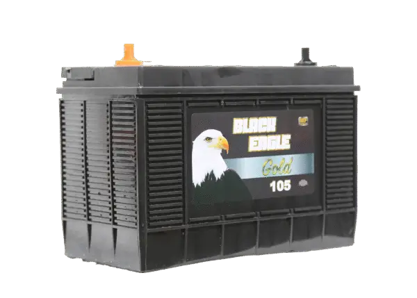 31T de 750 cca, BLACK EAGLE GOLD - Imagen 2